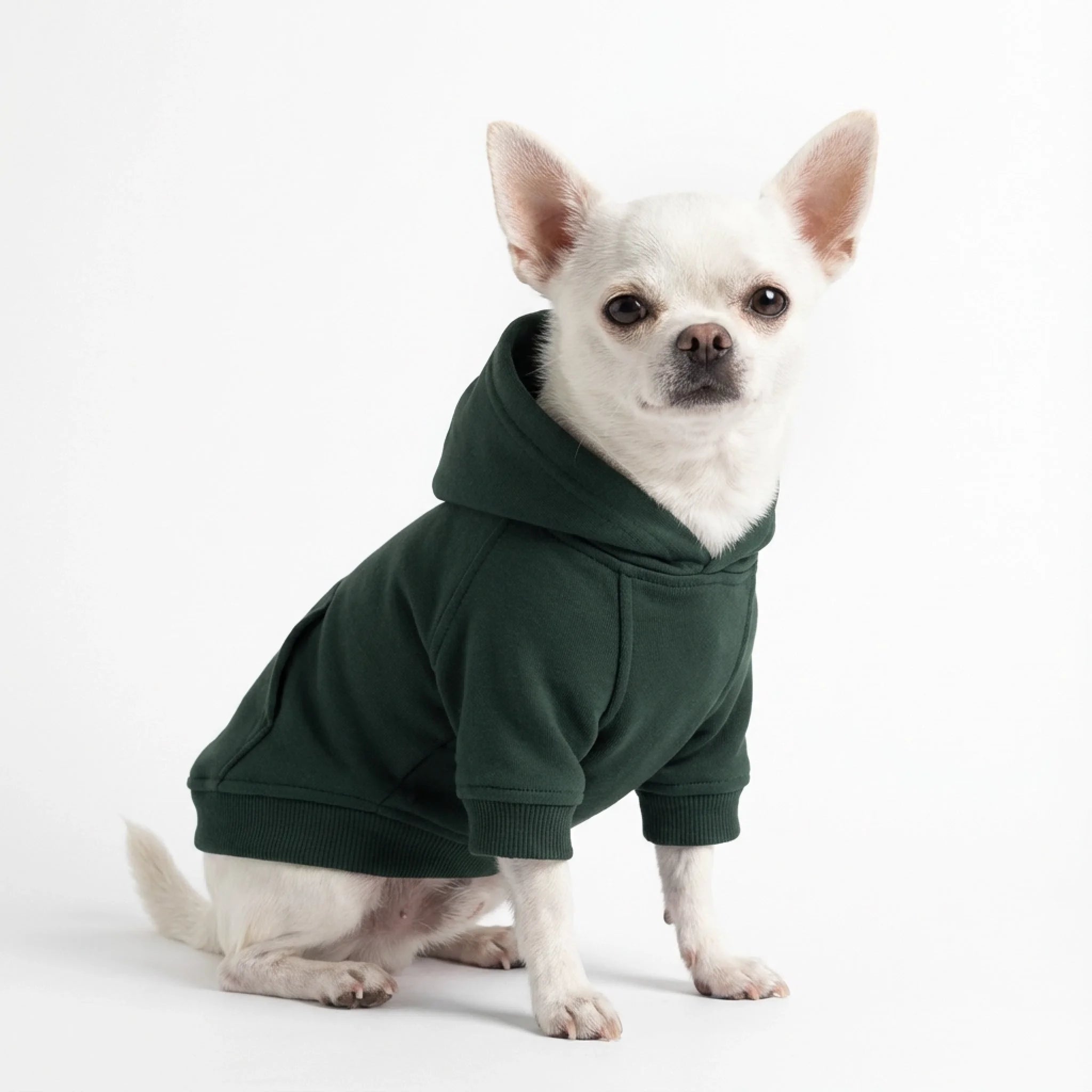 微信图片_20260106142916_2013_155